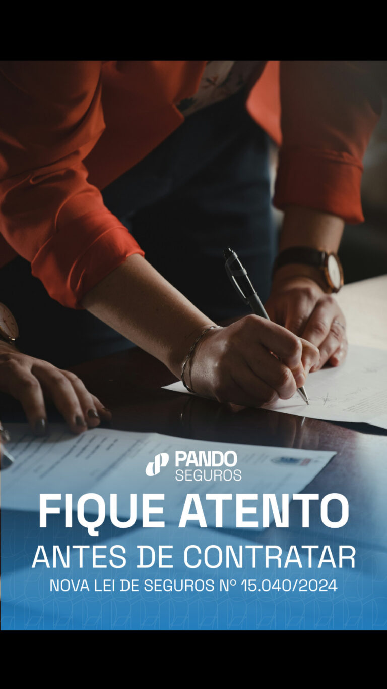 Infográfico sobre a Lei de Seguros 15040 e Seguro de Responsabilidade Civil Profissional E&O - Pando Seguros
